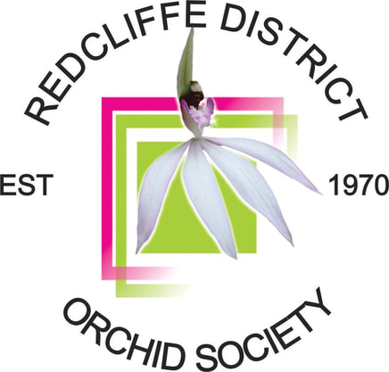 Logo Redcliffe District Orchid Society